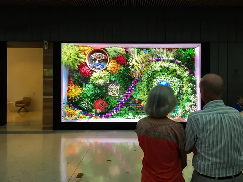 Visitors watch a botanical composition on the Jack C. Taylor Visitor Center's LED wall